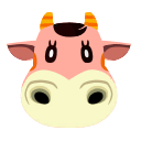 norma